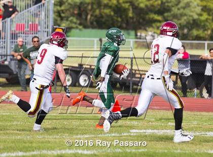 Thumbnail 3 in Sachem East @ William Floyd photogallery.