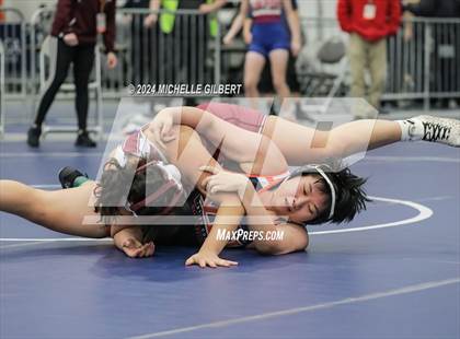 Thumbnail 2 in NYSPHSAA Girls Wrestling Invitational Wrestlebacks  photogallery.