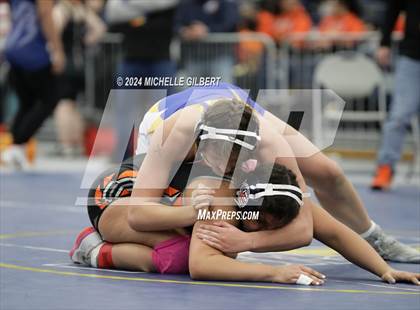 Thumbnail 3 in NYSPHSAA Girls Wrestling Invitational Wrestlebacks  photogallery.