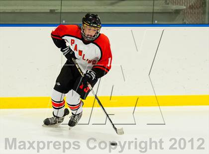 Thumbnail 3 in Kennedy/Putnam Valley @ Pawling photogallery.