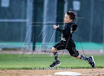 Thumbnail 1 in Sachse @ Rockwall photogallery.