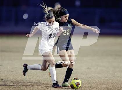 Thumbnail 2 in Hamilton @ Basha photogallery.