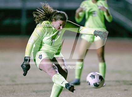 Thumbnail 3 in Hamilton @ Basha photogallery.