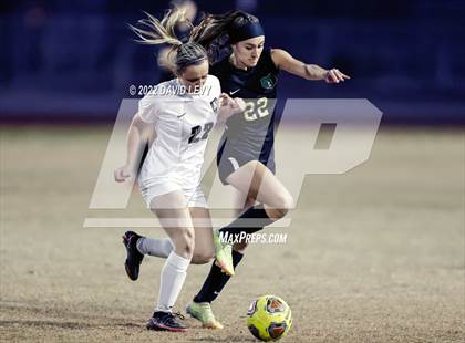 Thumbnail 3 in Hamilton @ Basha photogallery.
