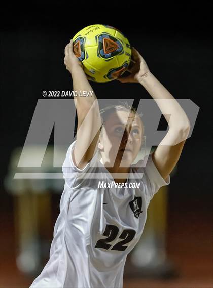 Thumbnail 3 in Hamilton @ Basha photogallery.