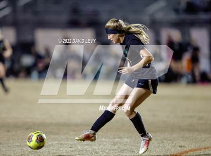 Thumbnail 1 in Hamilton @ Basha photogallery.