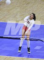 Photo from the gallery "Chaparral vs. Denver South (CHSAA 5A 3rd Round)"