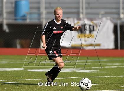 Thumbnail 1 in Fairfield Warde @ Trumbull photogallery.