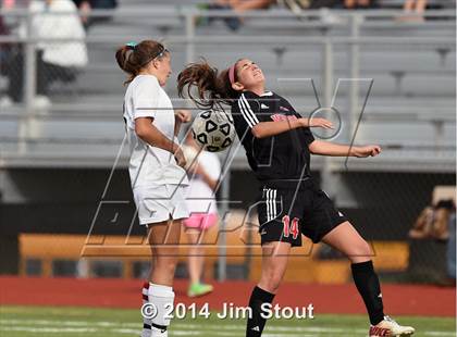 Thumbnail 2 in Fairfield Warde @ Trumbull photogallery.