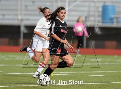 Thumbnail 1 in Fairfield Warde @ Trumbull photogallery.