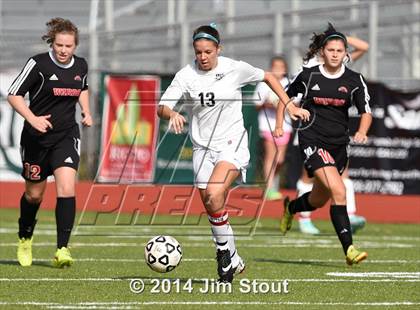 Thumbnail 1 in Fairfield Warde @ Trumbull photogallery.
