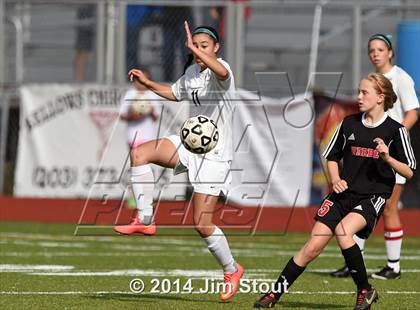 Thumbnail 1 in Fairfield Warde @ Trumbull photogallery.