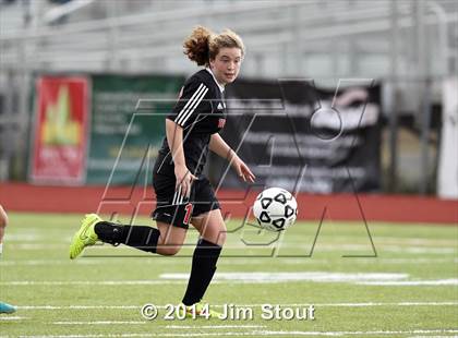 Thumbnail 3 in Fairfield Warde @ Trumbull photogallery.