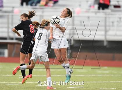 Thumbnail 3 in Fairfield Warde @ Trumbull photogallery.
