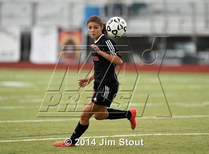 Thumbnail 3 in Fairfield Warde @ Trumbull photogallery.
