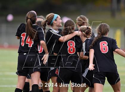 Thumbnail 1 in Fairfield Warde @ Trumbull photogallery.