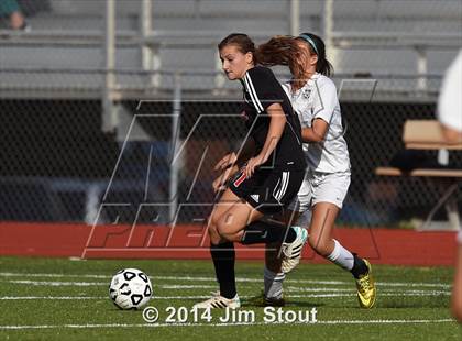 Thumbnail 2 in Fairfield Warde @ Trumbull photogallery.