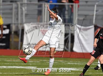 Thumbnail 2 in Fairfield Warde @ Trumbull photogallery.