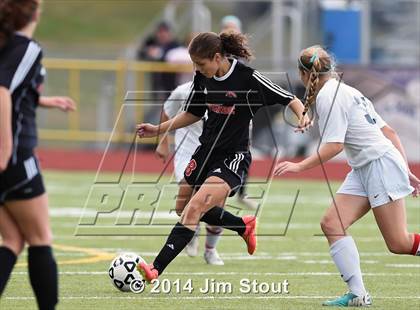Thumbnail 2 in Fairfield Warde @ Trumbull photogallery.