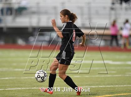 Thumbnail 1 in Fairfield Warde @ Trumbull photogallery.