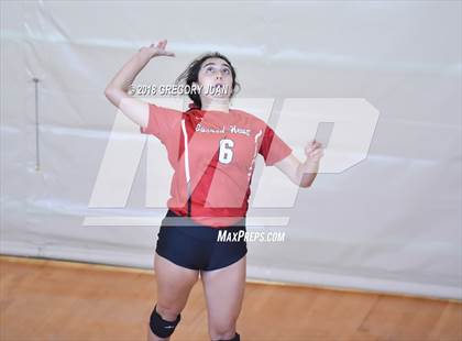 Thumbnail 2 in Ursuline Academy vs Academy of the Sacred Heart (Catholic League Tournament) photogallery.