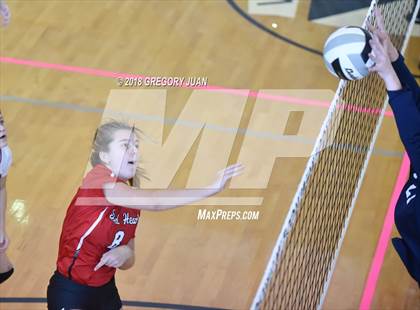 Thumbnail 1 in Ursuline Academy vs Academy of the Sacred Heart (Catholic League Tournament) photogallery.