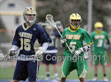 Thumbnail 1 in Canisius vs. Bishop Timon-St. Jude photogallery.