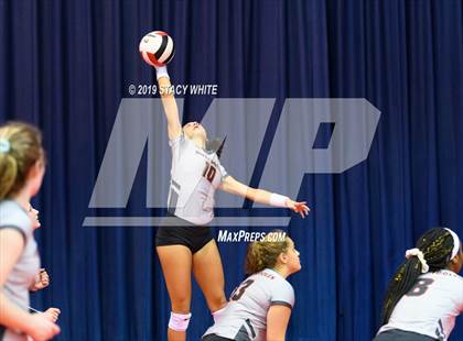 Thumbnail 1 in Out-of-Door Academy vs. McGill-Toolen (Circus City Invitational) photogallery.