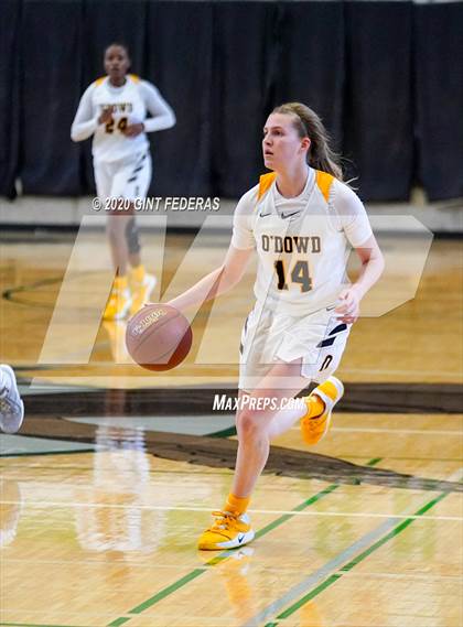 Thumbnail 1 in Miramonte vs. Bishop O'Dowd (CIF NCS Open Division Quarterfinal) photogallery.