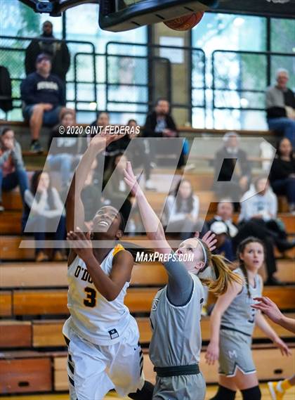 Thumbnail 2 in Miramonte vs. Bishop O'Dowd (CIF NCS Open Division Quarterfinal) photogallery.