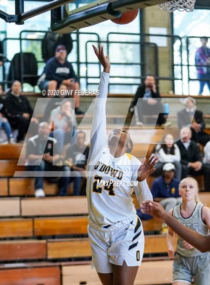 Thumbnail 3 in Miramonte vs. Bishop O'Dowd (CIF NCS Open Division Quarterfinal) photogallery.