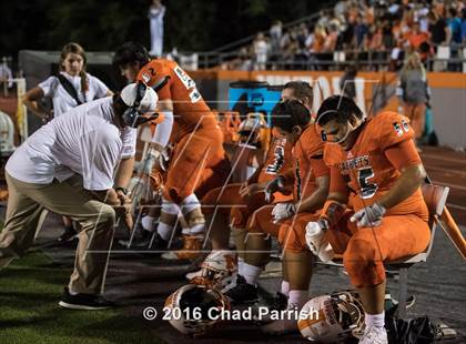 Thumbnail 3 in Van @ Mineola photogallery.