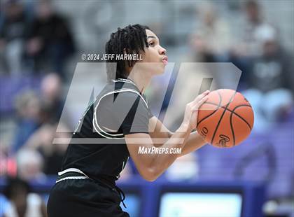 Thumbnail 2 in Aurora @ Barberton photogallery.