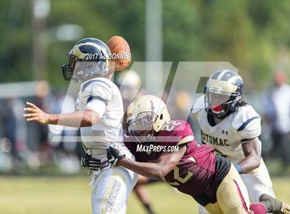 Thumbnail 1 in Potomac @ Douglass photogallery.