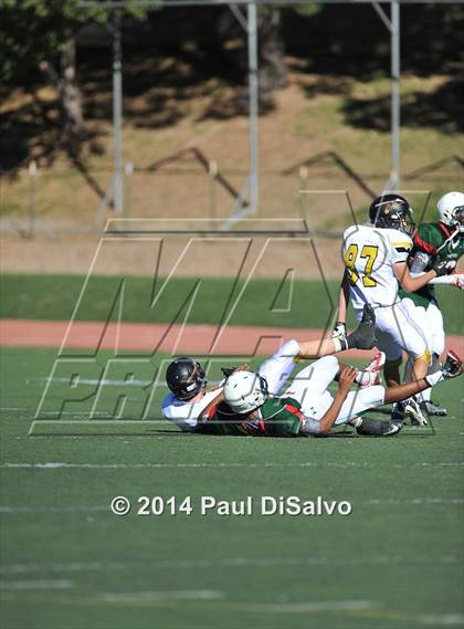 Thumbnail 3 in Arapahoe @ Smoky Hill photogallery.
