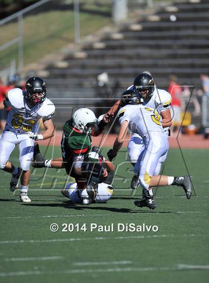 Thumbnail 3 in Arapahoe @ Smoky Hill photogallery.