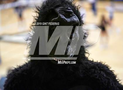 Thumbnail 2 in Hercules @ Acalanes (CIF NCS D3 Round 1) photogallery.