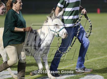 Thumbnail 2 in Hendersonville @ Hillsboro photogallery.