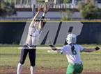 Photo from the gallery "Cactus Shadows @ St. Mary's"