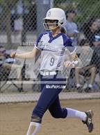 Photo from the gallery "Cactus Shadows @ St. Mary's"