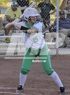 Photo from the gallery "Cactus Shadows @ St. Mary's"