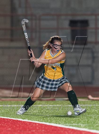 Thumbnail 2 in Cathedral vs.  Patrick Henry photogallery.