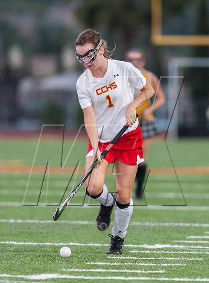 Thumbnail 3 in Cathedral vs.  Patrick Henry photogallery.