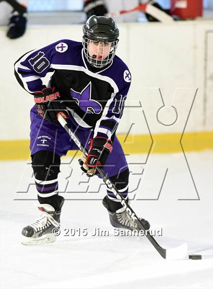 Thumbnail 1 in New Rochelle @ White Plains photogallery.