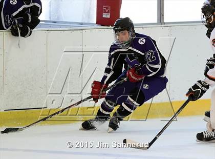 Thumbnail 3 in New Rochelle @ White Plains photogallery.
