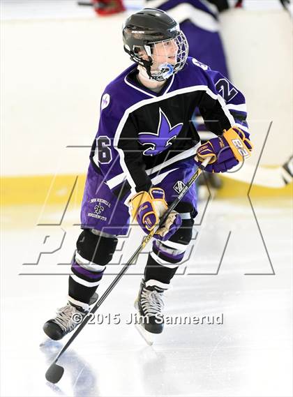 Thumbnail 3 in New Rochelle @ White Plains photogallery.