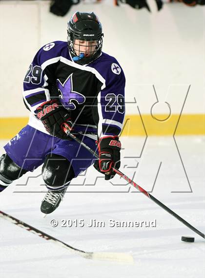 Thumbnail 2 in New Rochelle @ White Plains photogallery.