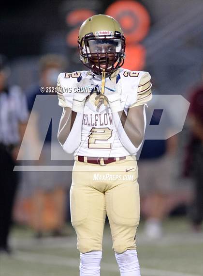 Thumbnail 1 in Bellflower @ Beckman photogallery.