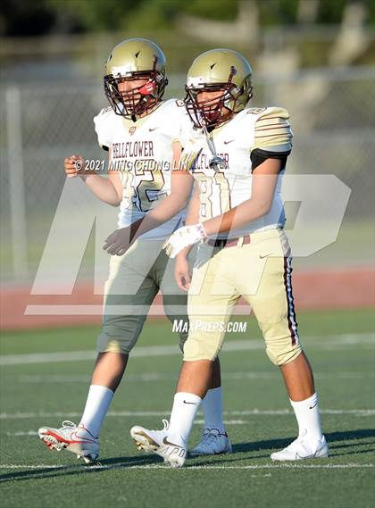 Thumbnail 1 in Bellflower @ Beckman photogallery.