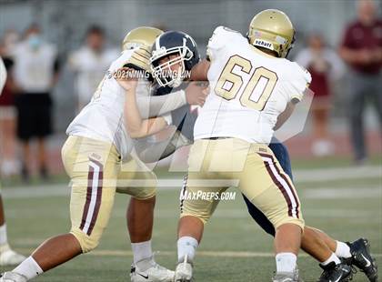 Thumbnail 2 in Bellflower @ Beckman photogallery.